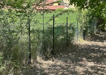 Foto 6 - Terreno edificabile Via Turri
snc, Caporciano - foto 6