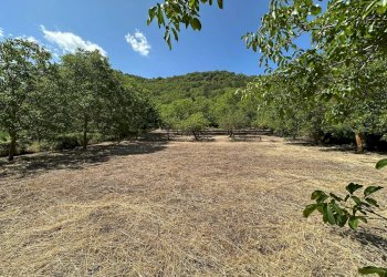 Foto 8 - Terreno edificabile Via Turri
snc, Caporciano - foto 8