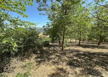 Foto 10 - Terreno edificabile Via Turri
snc, Caporciano - foto 10