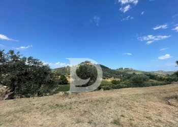 Foto 2 - Casa semi indipendente Contrada COLLEPALMA
 
6/7, Loreto Aprutino - foto 2