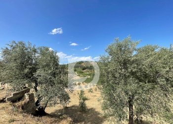 Foto 6 - Casa semi indipendente Contrada COLLEPALMA
 
6/7, Loreto Aprutino - foto 6