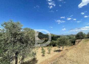 Foto 46 - Casa semi indipendente Contrada COLLEPALMA
 
6/7, Loreto Aprutino - foto 46