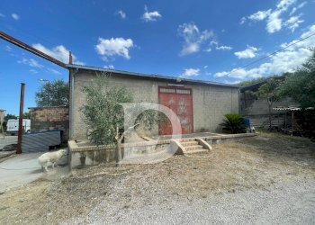 Foto 49 - Casa semi indipendente Contrada COLLEPALMA
 
6/7, Loreto Aprutino - foto 49