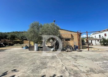 Foto 50 - Casa semi indipendente Contrada COLLEPALMA
 
6/7, Loreto Aprutino - foto 50