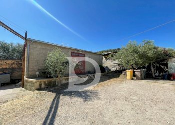 Foto 53 - Casa semi indipendente Contrada COLLEPALMA
 
6/7, Loreto Aprutino - foto 53