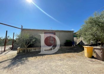 Foto 54 - Casa semi indipendente Contrada COLLEPALMA
 
6/7, Loreto Aprutino - foto 54