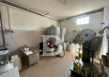 Foto 62 - Casa semi indipendente Contrada COLLEPALMA
 
6/7, Loreto Aprutino - foto 62