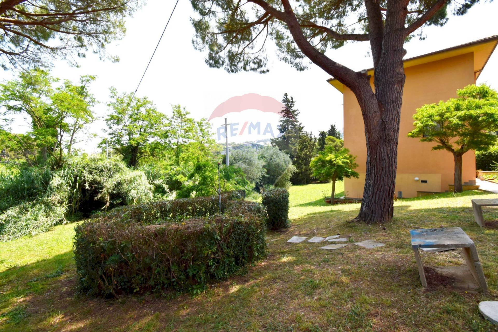 Giardino - Appartamento Livorno - foto 1