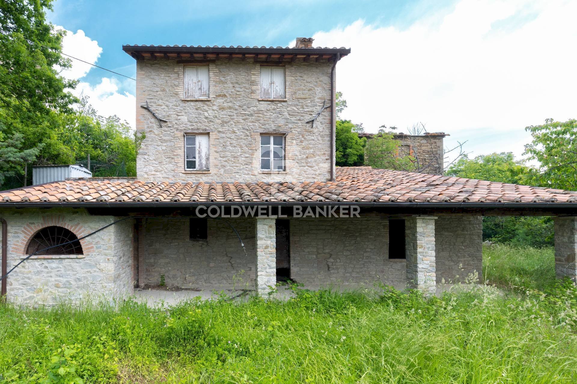 Foto 2 - Rustico Località Calonato, Carpegna - foto 2