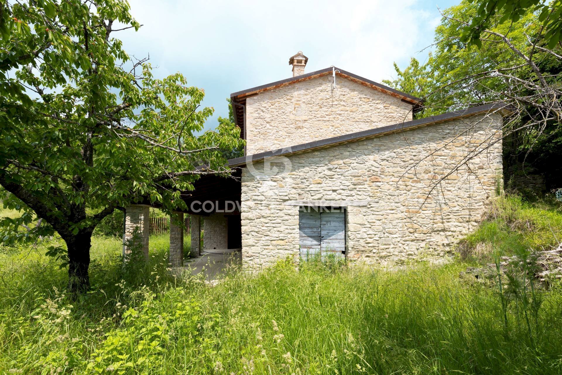 Foto 3 - Rustico Località Calonato, Carpegna - foto 3