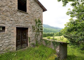 Foto 9 - Rustico Località Calonato, Carpegna - foto 9