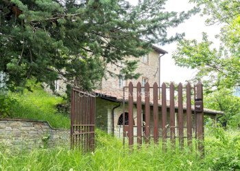 Foto 14 - Rustico Località Calonato, Carpegna - foto 14