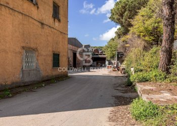 Foto 10 - Capannone Via dell'Industria, Aprilia - foto 10