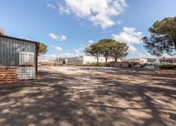 Foto 13 - Capannone Via dell'Industria, Aprilia - foto 13