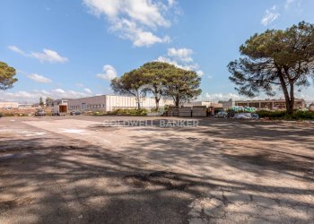 Foto 15 - Capannone Via dell'Industria, Aprilia - foto 15