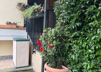 Giardino - Villa via Patrioti, 22, Induno Olona - foto 18