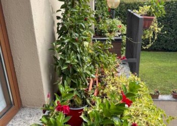 Balcone - Villa via Patrioti, 22, Induno Olona - foto 4