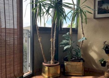 Ingresso - Villa via Patrioti, 22, Induno Olona - foto 8