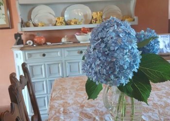 Villa Via San Tomaso 2928, Cesena - foto 17