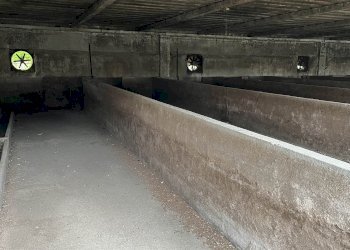 Casa indipendente Concordia sulla Secchia - foto 14