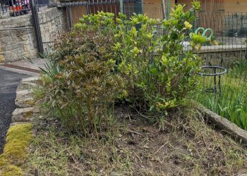 Terratetto - Terracielo Via Ca' di Pallerino 73, Monghidoro - foto 7