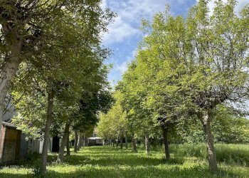 Villa a Schiera San Felice sul Panaro - foto 13