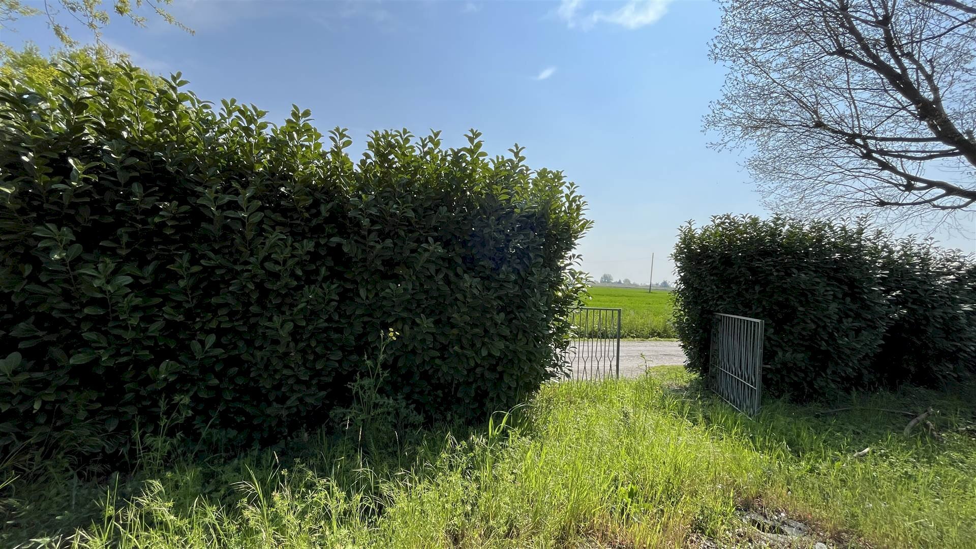 Building land Via Tassi 1615, San Felice sul Panaro - photo 1