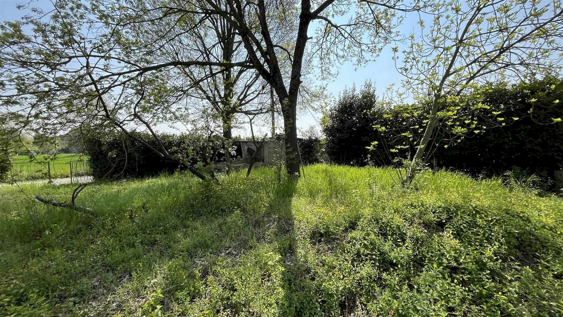 Building land Via Tassi 1615, San Felice sul Panaro - photo 3