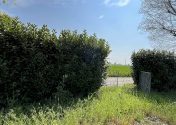 Terreno edificabile Via Tassi 1615, San Felice sul Panaro - foto 1