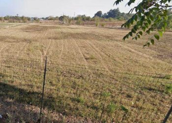 Terreno edificabile Spilamberto - foto 3