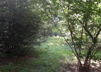 Villa Via Budrione Migliarina 86, Carpi - foto 26