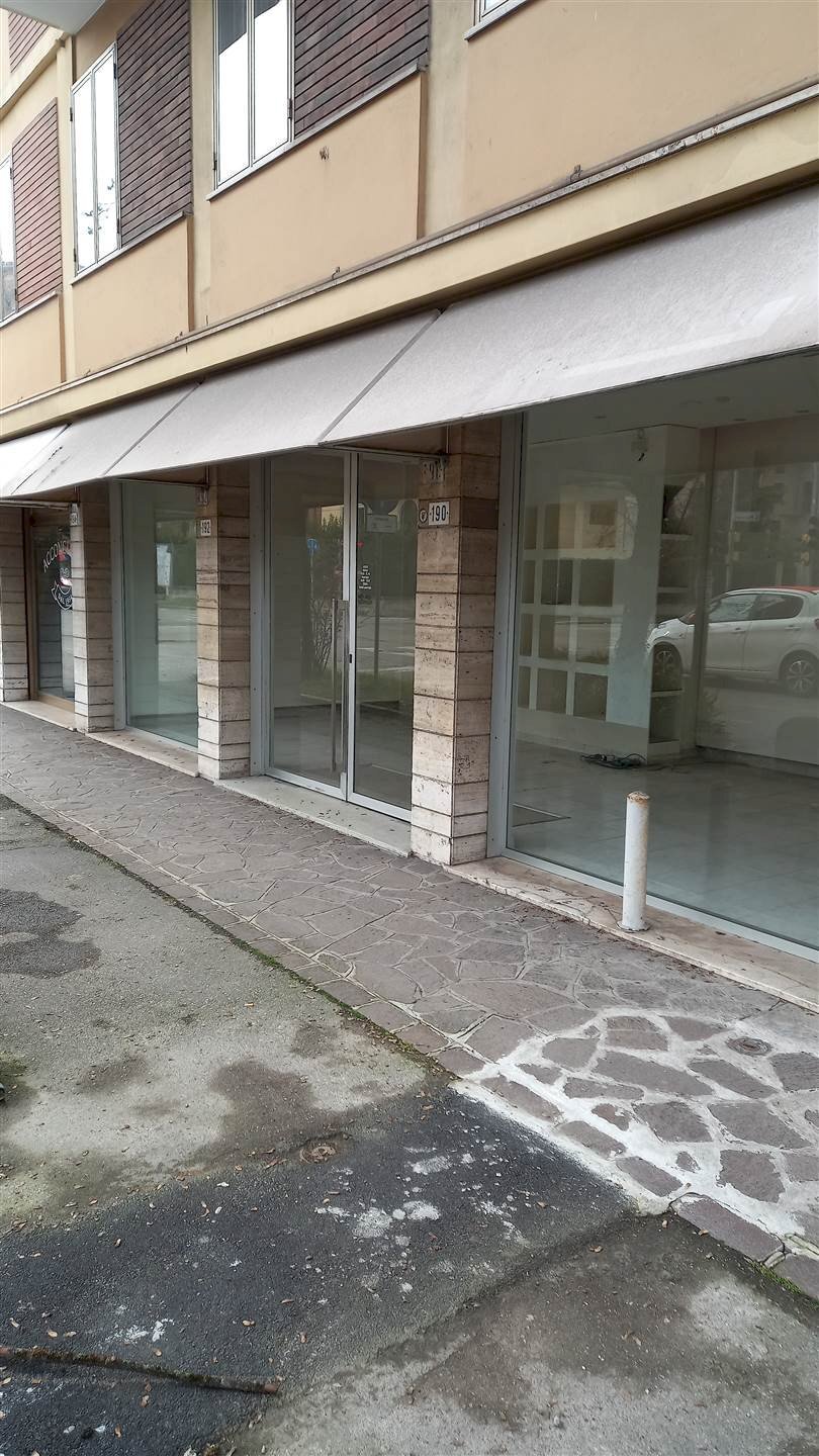 Negozio Viale Moreali 192, Modena - foto 3