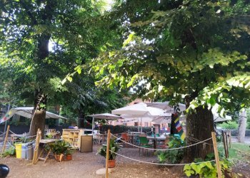 Commercial Activity Reggio nell'Emilia - photo 2