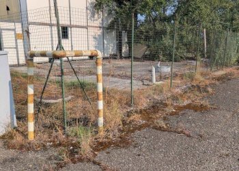 Capannone Modena - foto 17