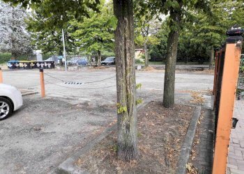 Pizzeria Modena - foto 4