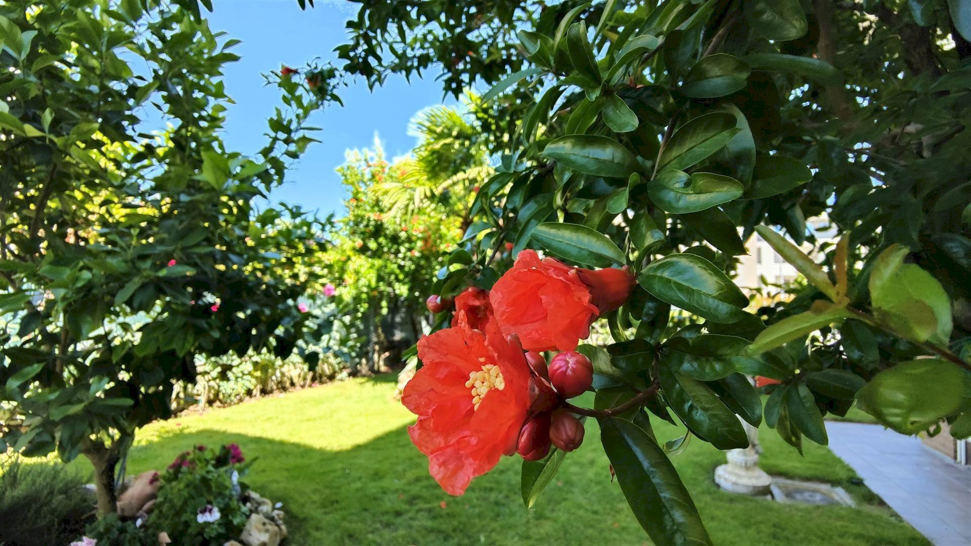 Appartamento Formigine - foto 2