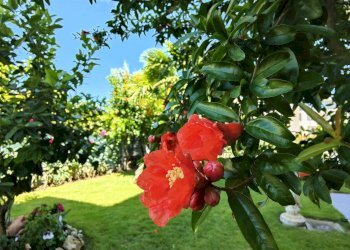 Appartamento Formigine - foto 2