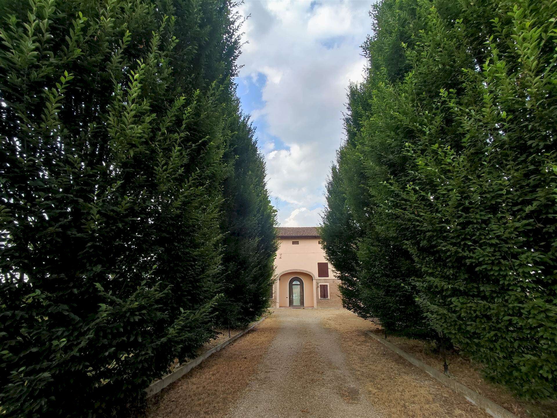 Casa indipendente Cavezzo - foto 1