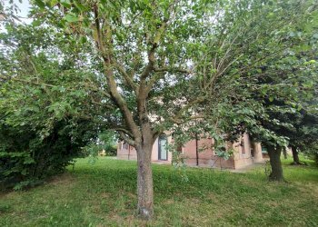 Casa indipendente Cavezzo - foto 28