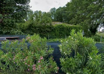 Terreno agricolo Strada Gherbella 84, Modena - foto 3