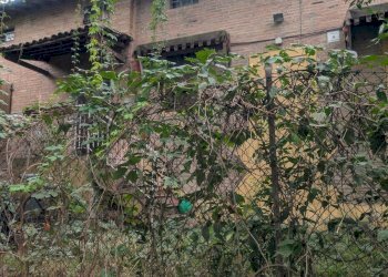 Terreno agricolo Strada Gherbella 84, Modena - foto 5