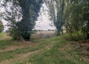 Terreno agricolo Strada Gherbella 84, Modena - foto 11