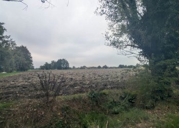 Terreno agricolo Strada Gherbella 84, Modena - foto 12