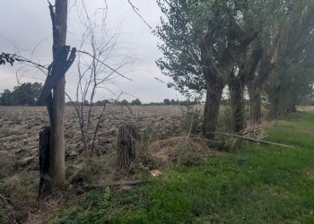 Terreno agricolo Strada Gherbella 84, Modena - foto 15