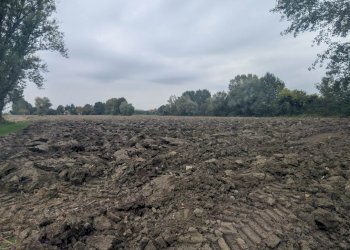 Terreno agricolo Strada Gherbella 84, Modena - foto 16