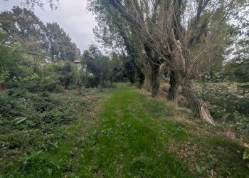 Terreno agricolo Strada Gherbella 84, Modena - foto 17