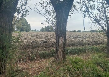 Terreno agricolo Strada Gherbella 84, Modena - foto 19