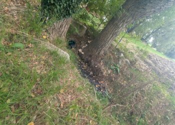 Terreno agricolo Strada Gherbella 84, Modena - foto 21