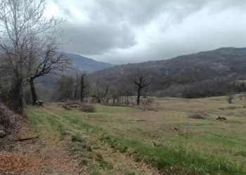 Rustico Via Montebiotto, Toano - foto 18