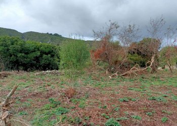 Casa indipendente Lipari - foto 35